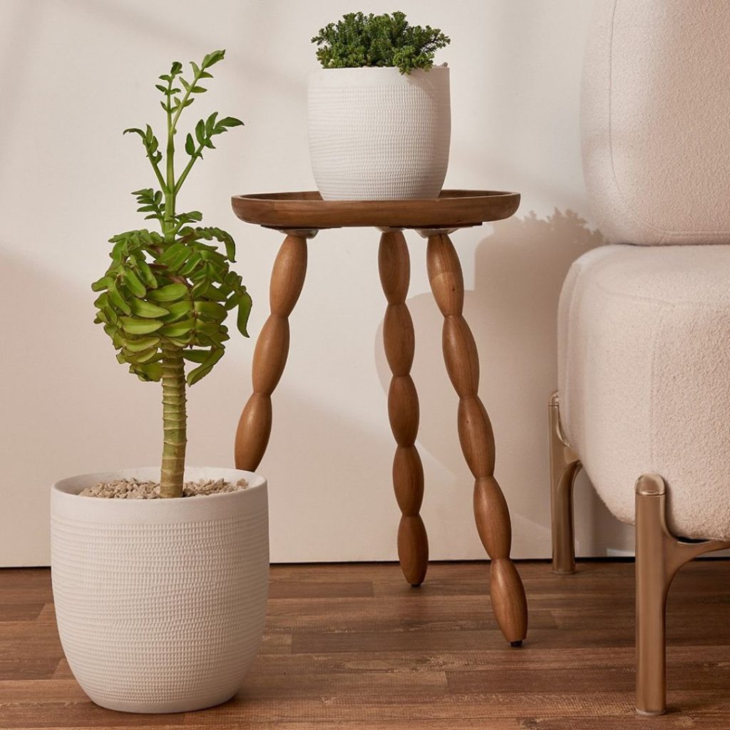 Exemplo de como decorar uma mesa de canto usando plantas e vasos decorativos, criando um ponto focal em um canto da sala. Perfeito para o estilo de decoração boho ou escandinavo.